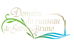 logo Projet St-Bruno